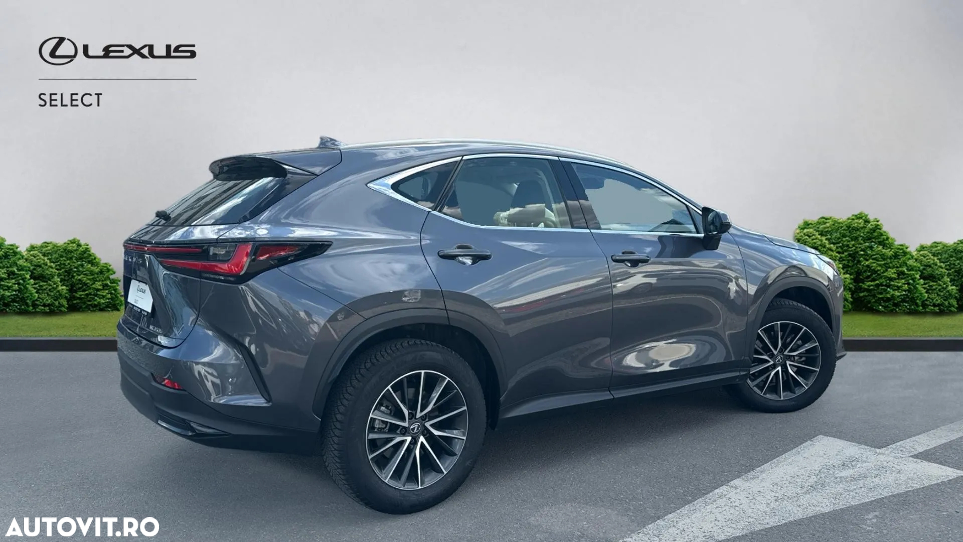 Lexus Seria NX 350h AWD CVT HEV Business - 20