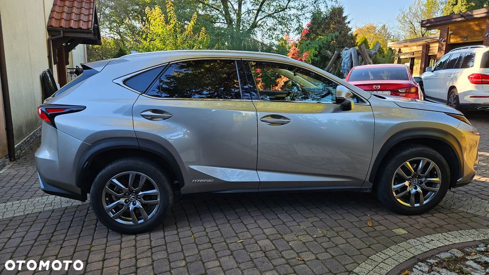Lexus NX 300h Prestige AWD - 6