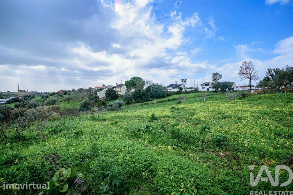 Terreno para construção em Abitureiras - Grande imagem: 3/17