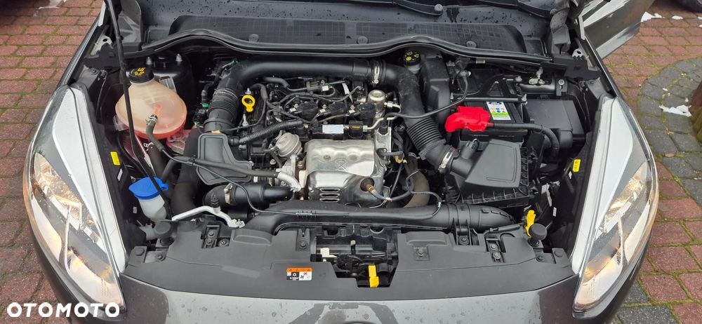 Ford Fiesta 1.0 EcoBoost GPF Trend ASS - 24