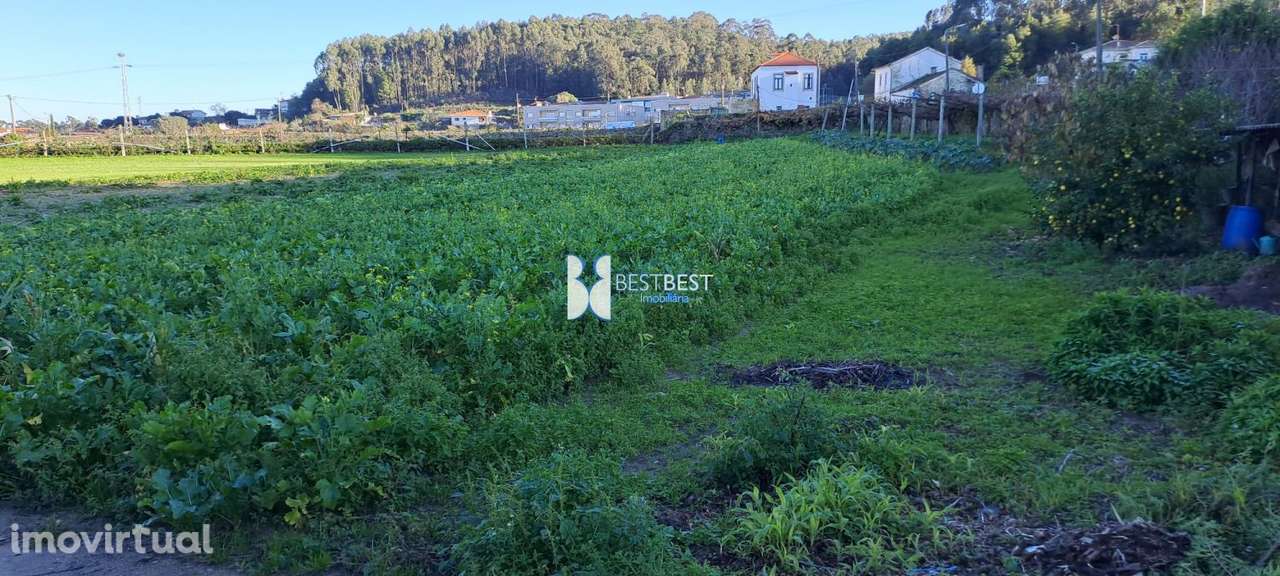TERRENO com 4.150 M2 ENTRE TROFA E VILA DO CONDE - Grande imagem: 2/3
