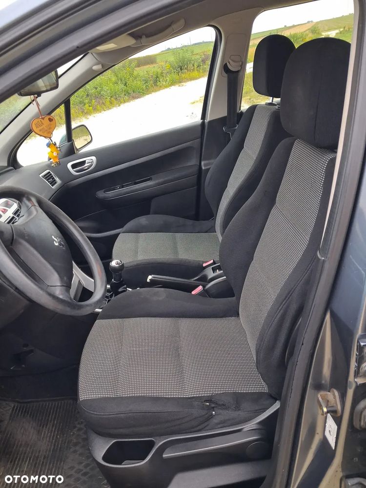 Peugeot 307 1.6 XS - 8
