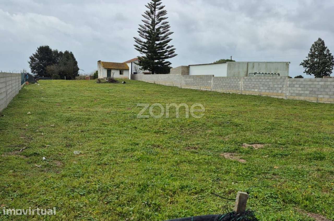 Terreno de 2.918m2 em Benavente - Grande imagem: 3/4