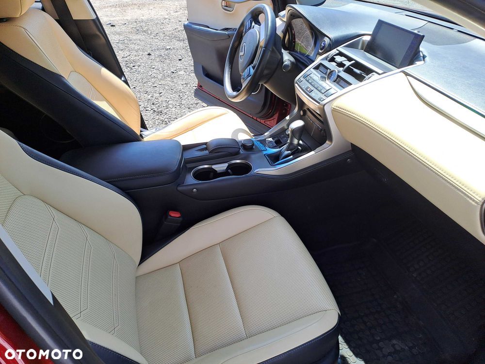 Lexus NX - 6