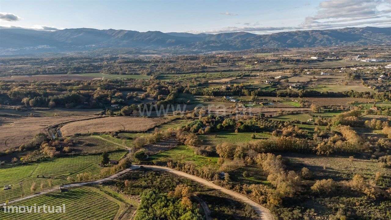 Terreno Rústico / Belmonte, Caria - Grande imagem: 5/18