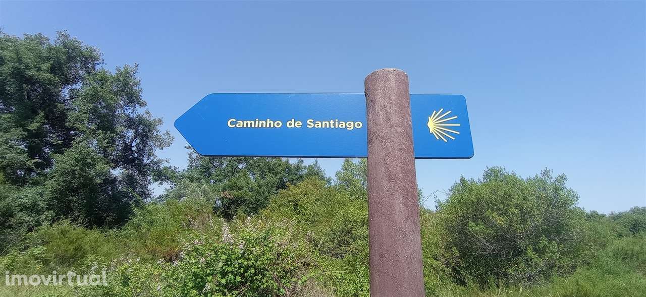 Terreno Rústico  Venda em Pussos São Pedro,Alvaiázere - Grande imagem: 5/58