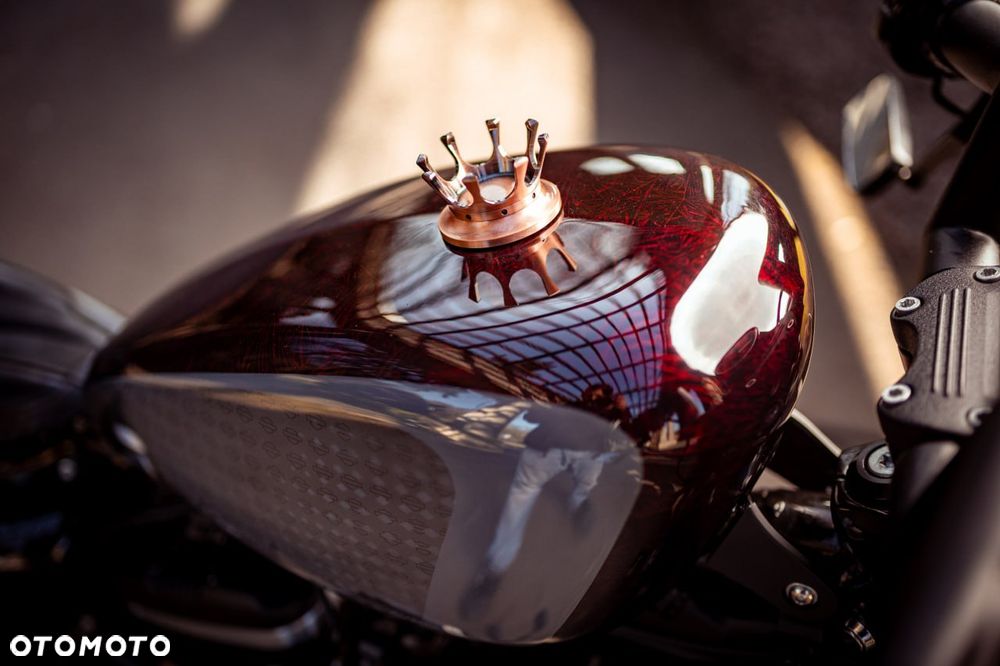 Harley-Davidson Sportster Iron 883 - 6