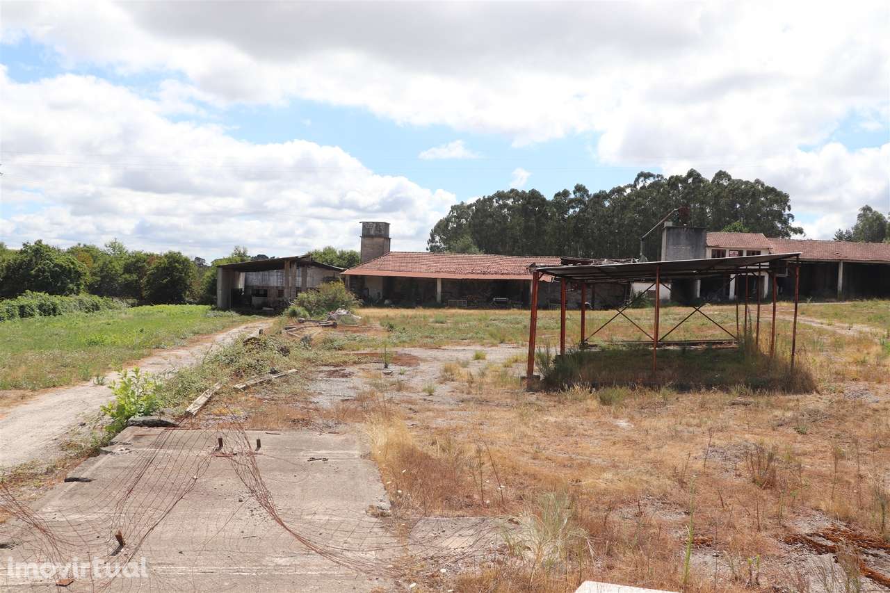Armazém  Venda em Lustosa e Barrosas (Santo Estêvão),Lousada - Grande imagem: 4/25