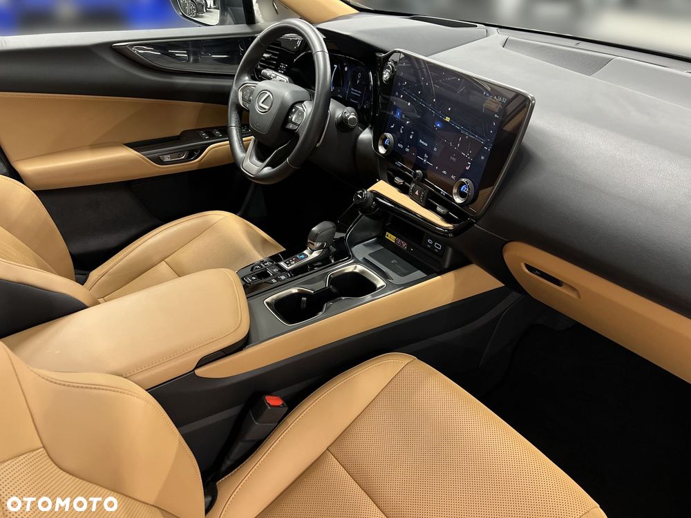 Lexus NX - 10