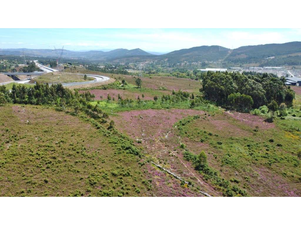 Terreno industrial junto à A41 - Grande imagem: 5/10