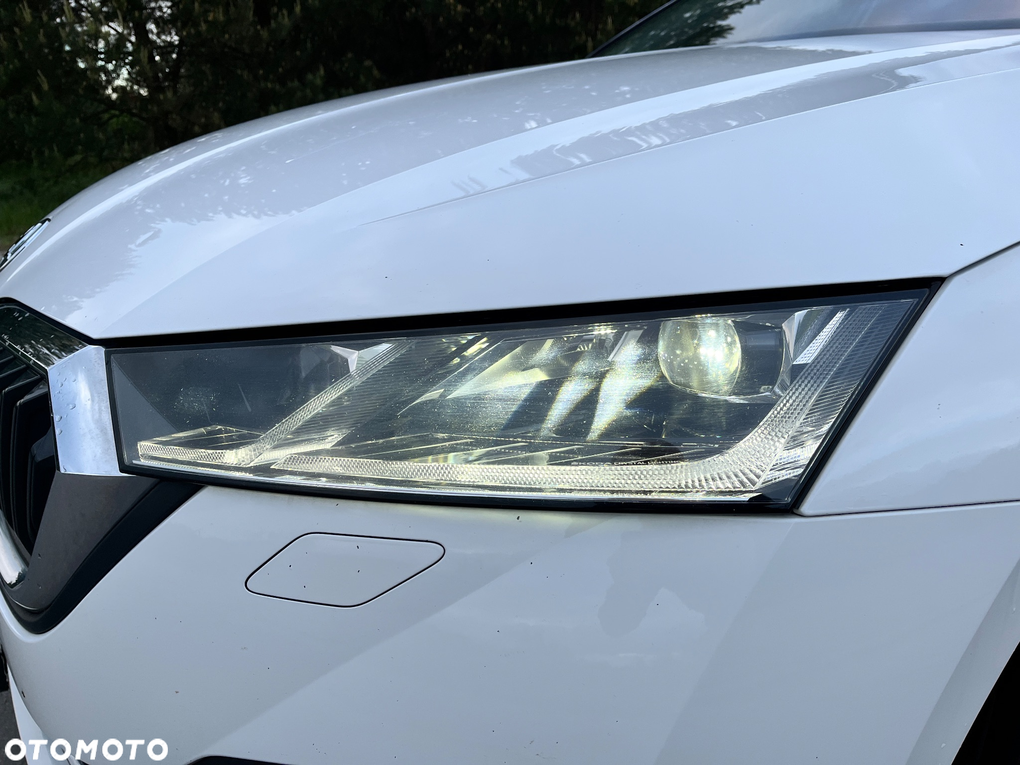 Skoda Octavia Combi 2.0 TDI DSG Premium Edition - 5