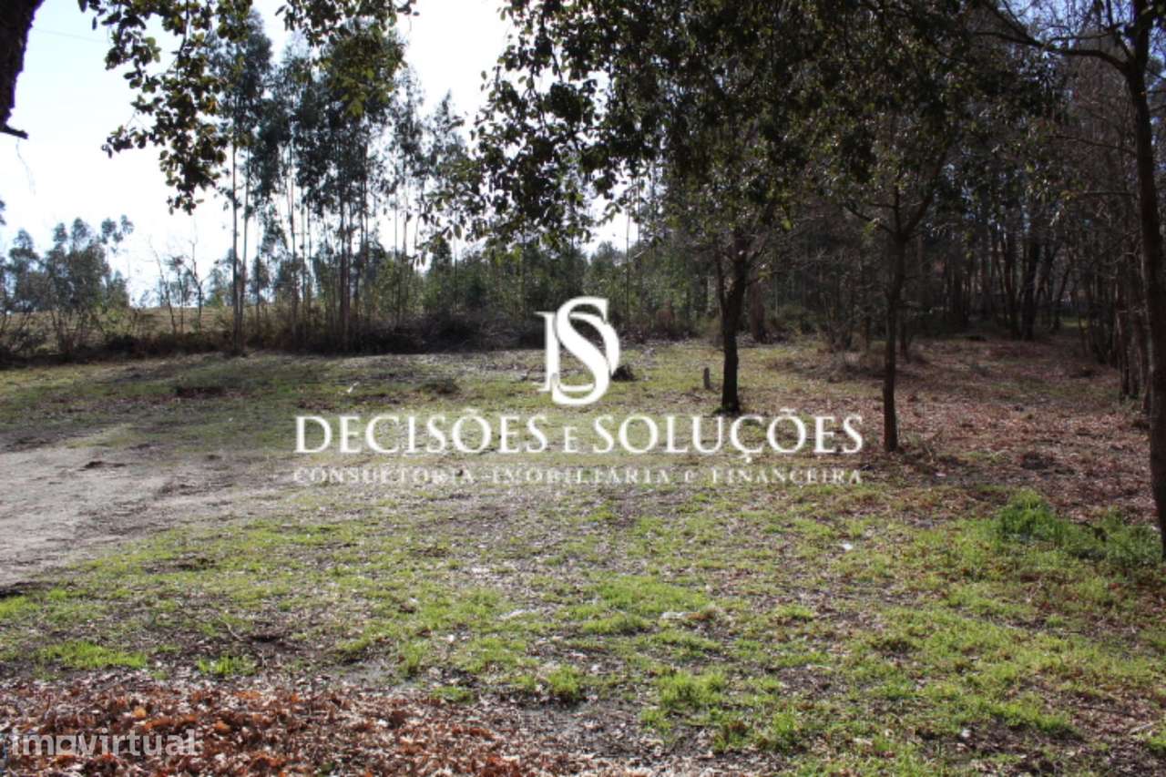 Terreno  Venda em Carvalhosa,Paços de Ferreira - Grande imagem: 5/5