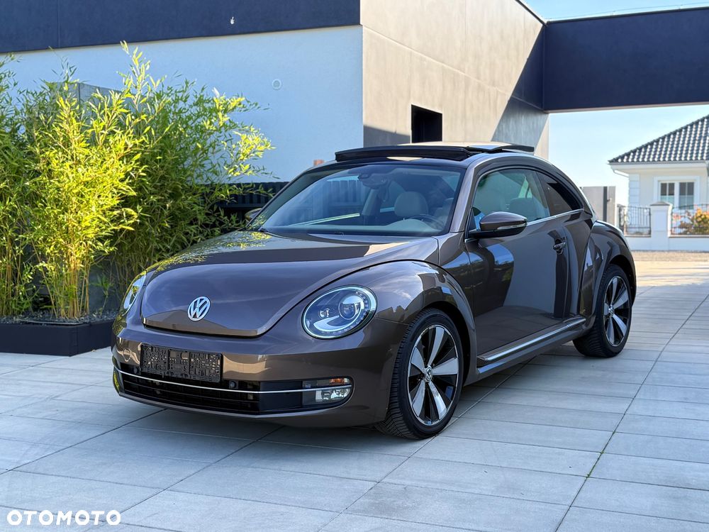 Volkswagen Beetle - 2
