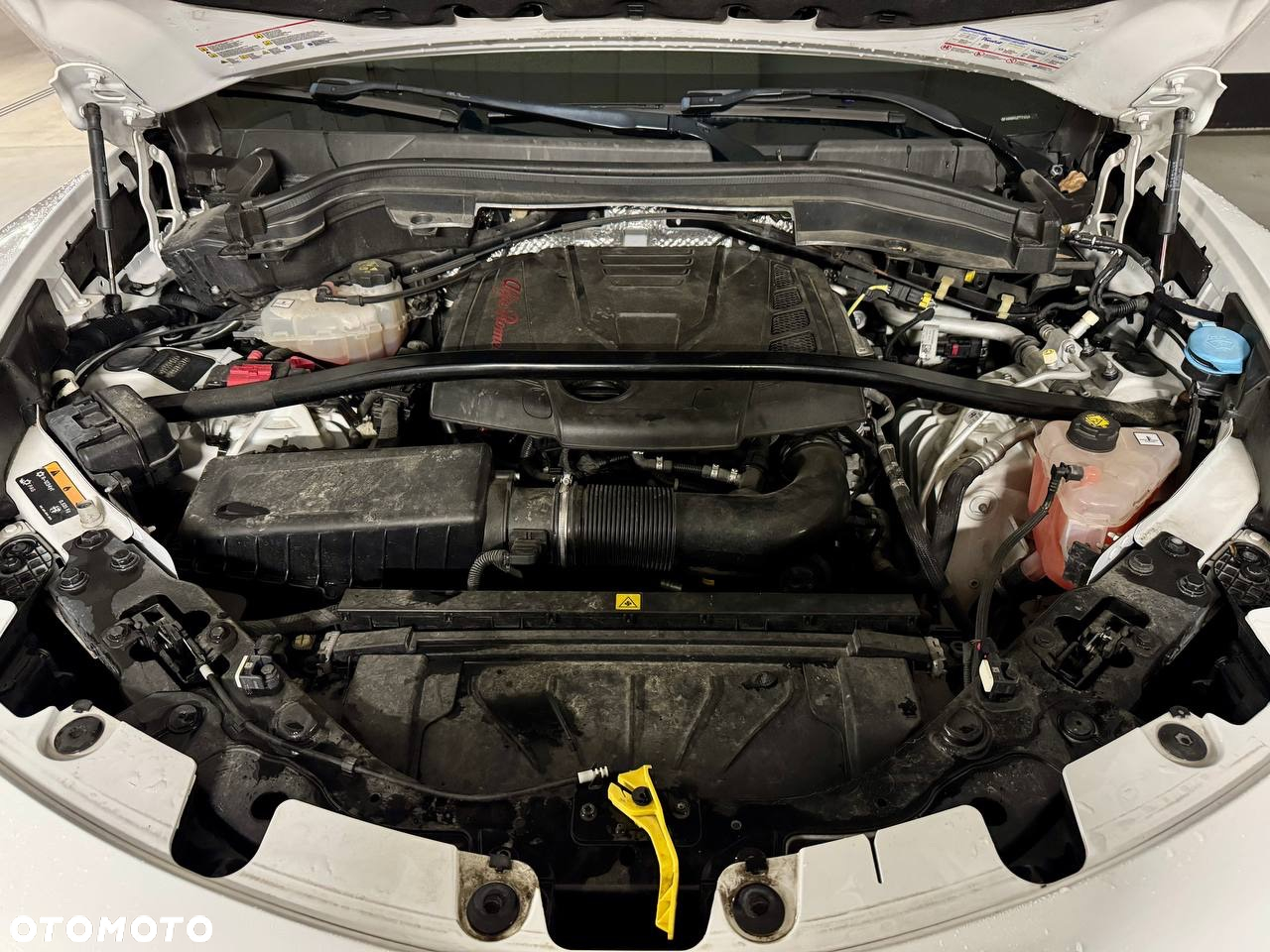 Alfa Romeo Stelvio 2.0 Turbo TI Q4 - 9