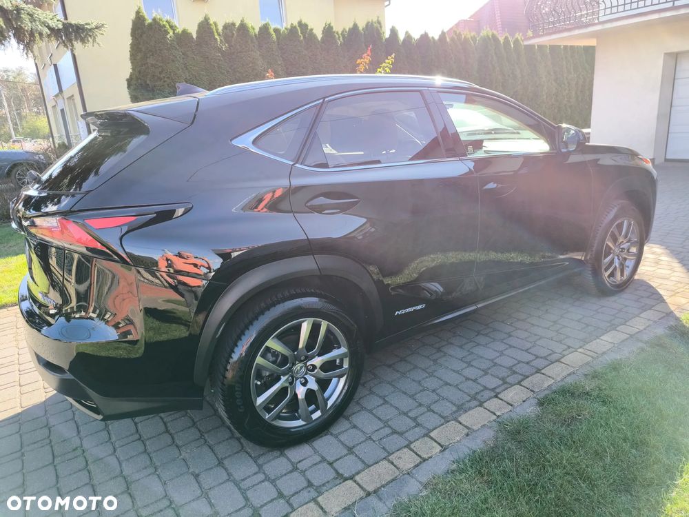 Lexus NX 300h Comfort AWD - 5