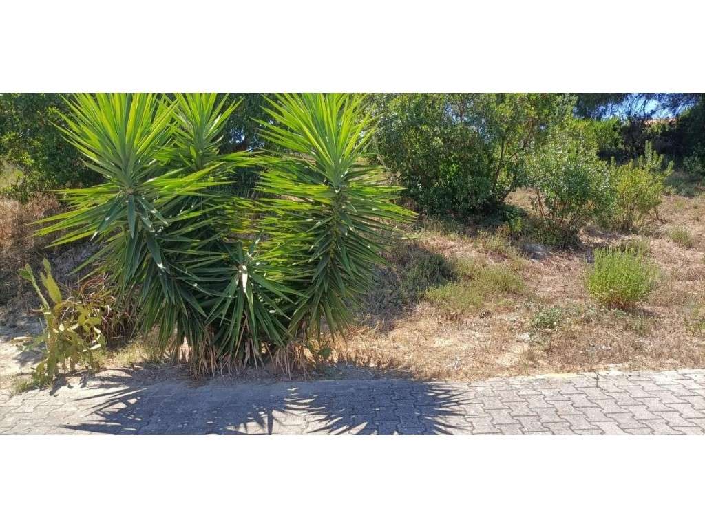 Terreno Venda Seixal - Grande imagem: 3/3