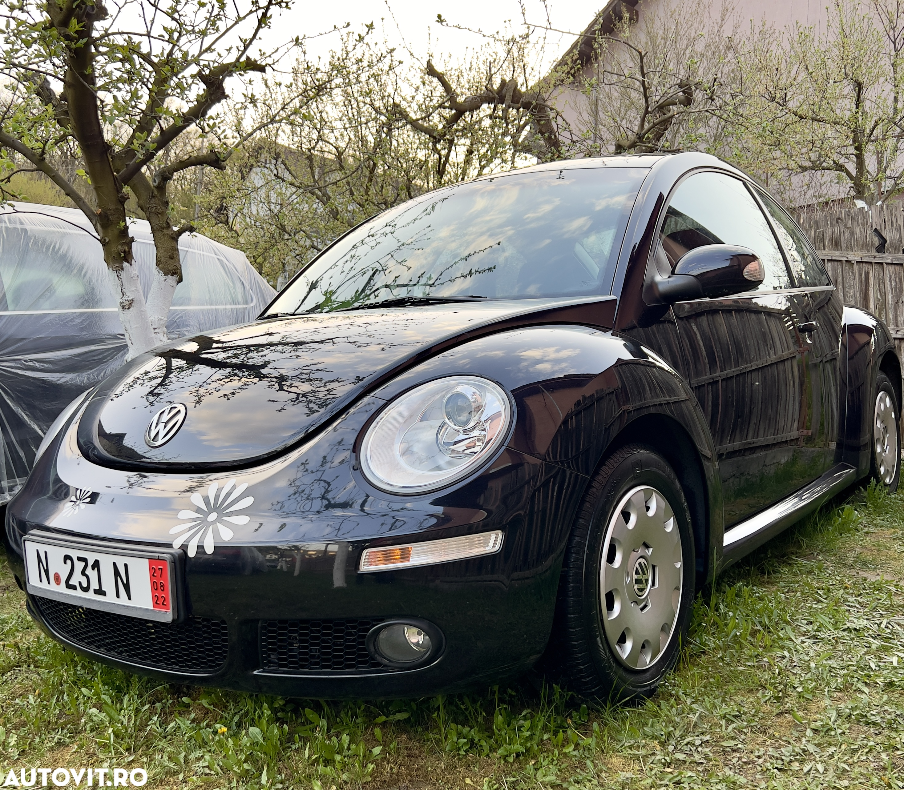 Volkswagen New Beetle - 2