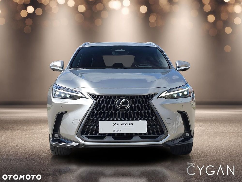 Lexus NX - 10