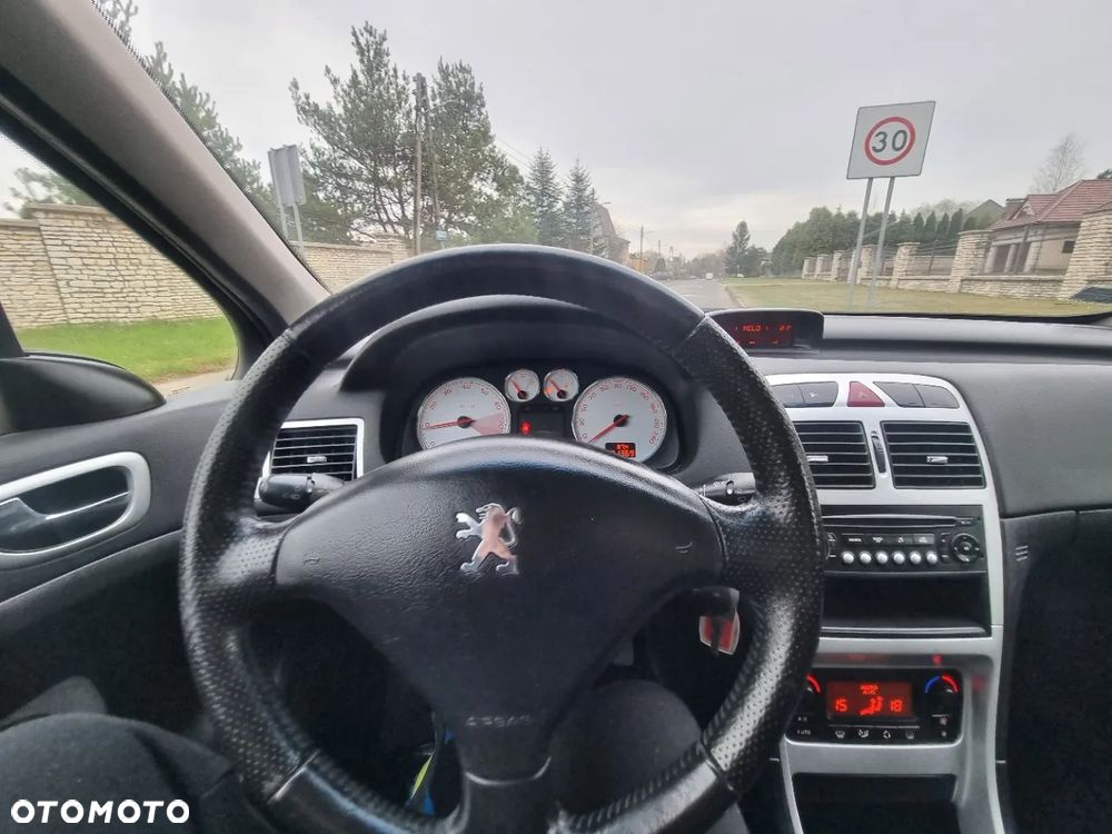 Peugeot 307 1.6 Trendy (klm) - 20