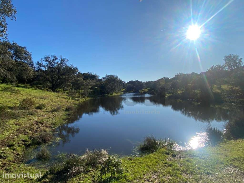 Quinta T3, Vila Verde de Ficalho - Grande imagem: 3/31