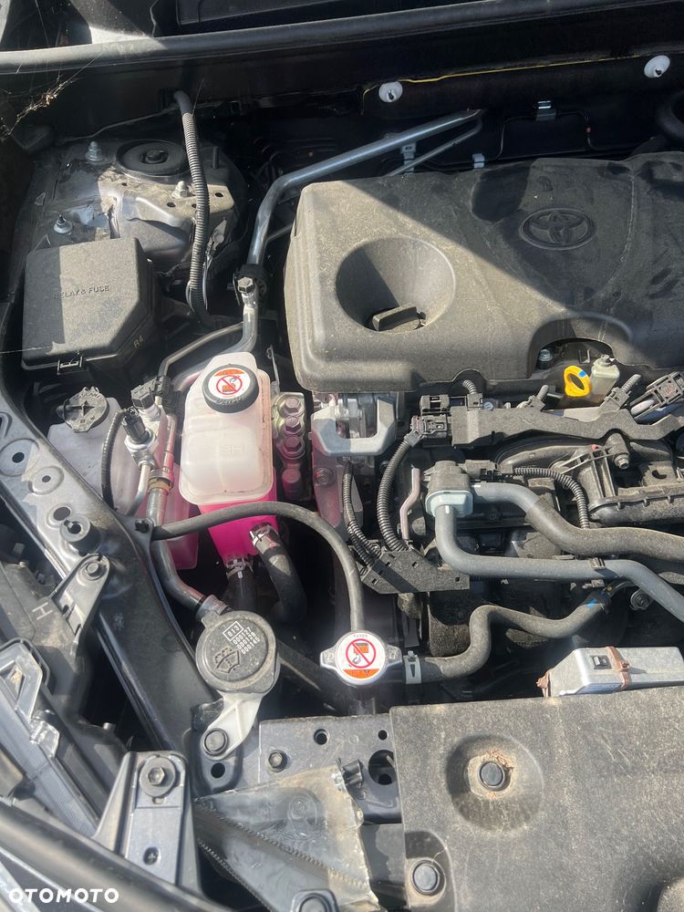 Toyota RAV4 2.5 Hybrid Dynamic Force Executive 4x2 e-CVT - 15
