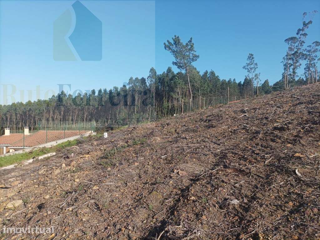 Terreno com PIP Aprovado para a construção de 5 moradias!! - Grande imagem: 4/11