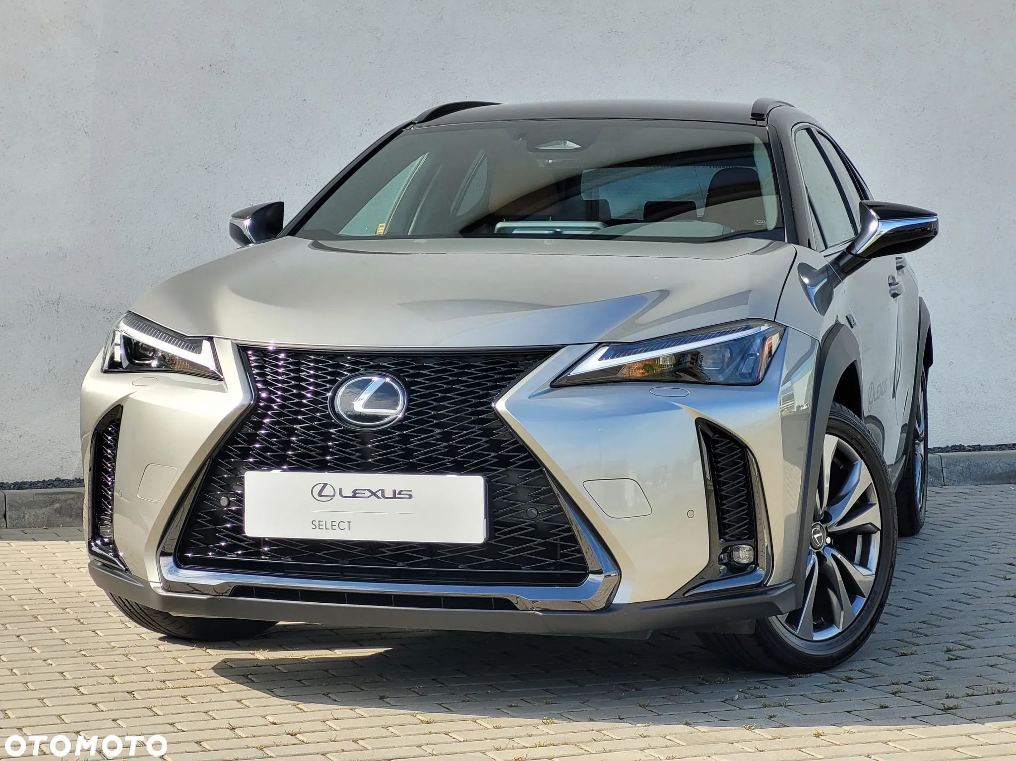 Lexus UX 300h F Sport Design - 1