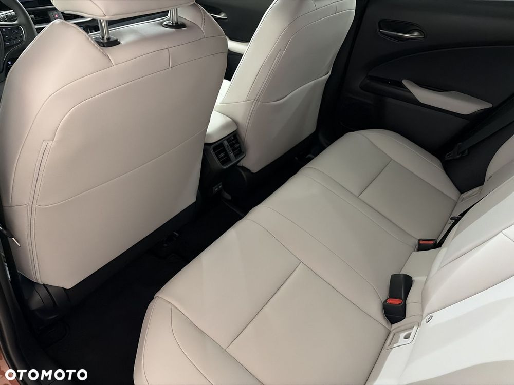 Lexus UX 300h F Sport Design - 11