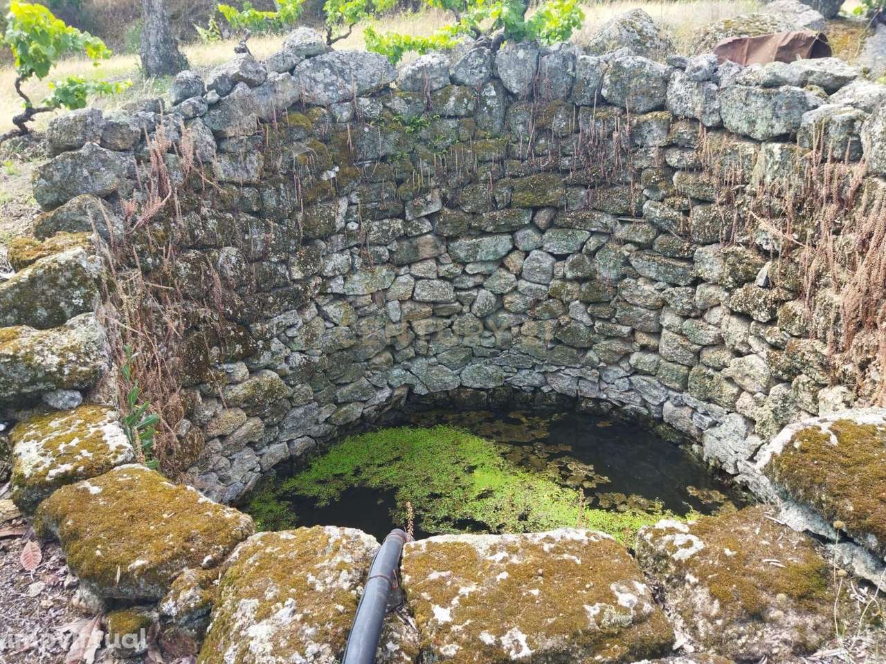 Terreno rústico | Lousa CTB, Castelo Branco - Grande imagem: 5/28