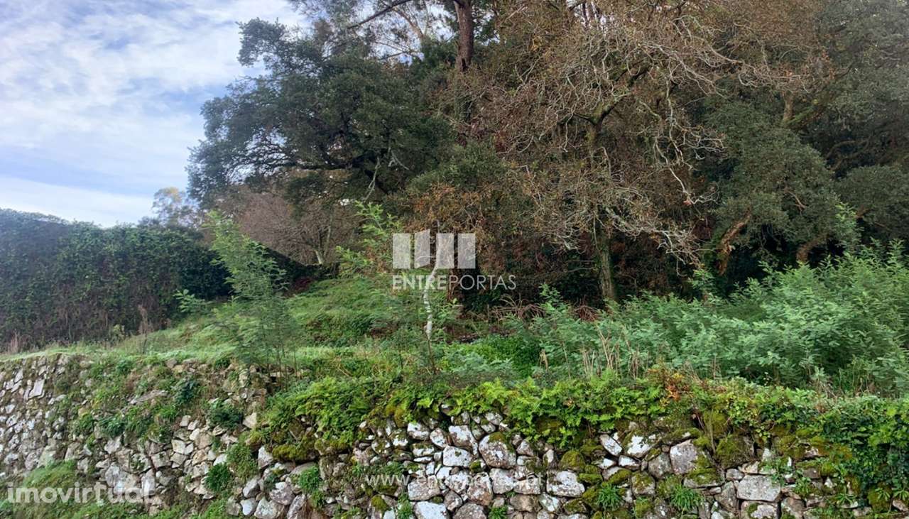 Terreno com vista mar para venda, moledo, Caminha - Grande imagem: 3/10
