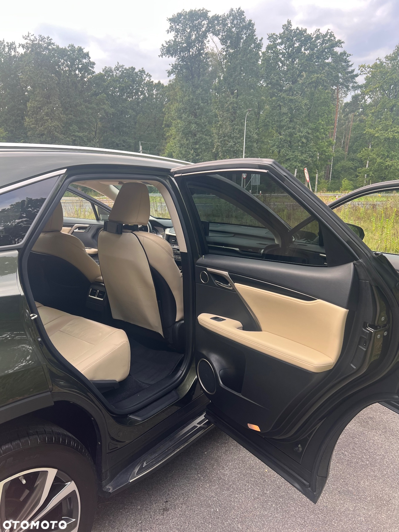 Lexus RX 300 Business Edition + - 21