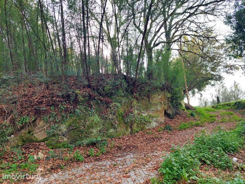 Terreno - Geraz do Minho - Grande imagem: 4/7