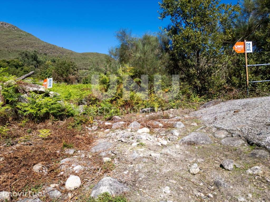 TERRENO PLANO E DE FÁCIL ACESSO - Grande imagem: 3/20