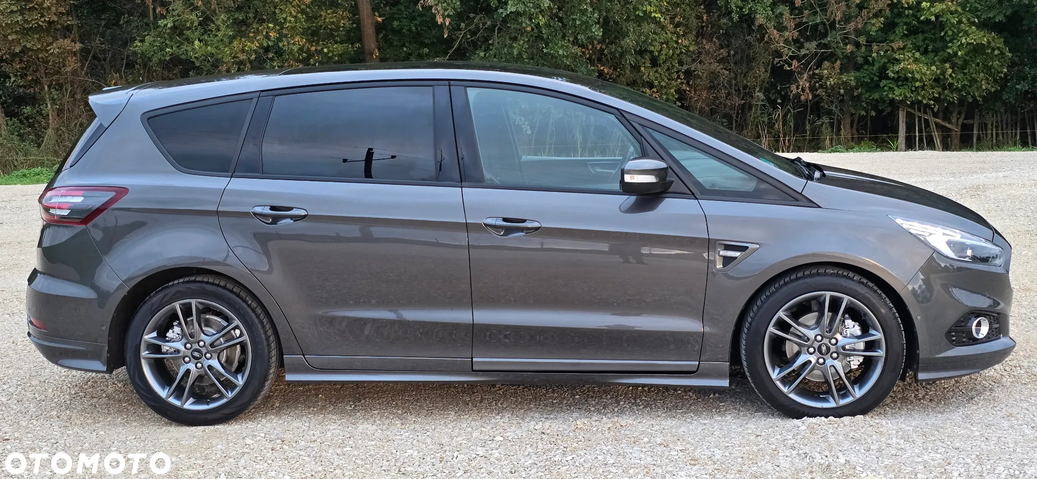 Ford S-Max 2.0 EcoBlue Twin-Turbo ST-Line - 4