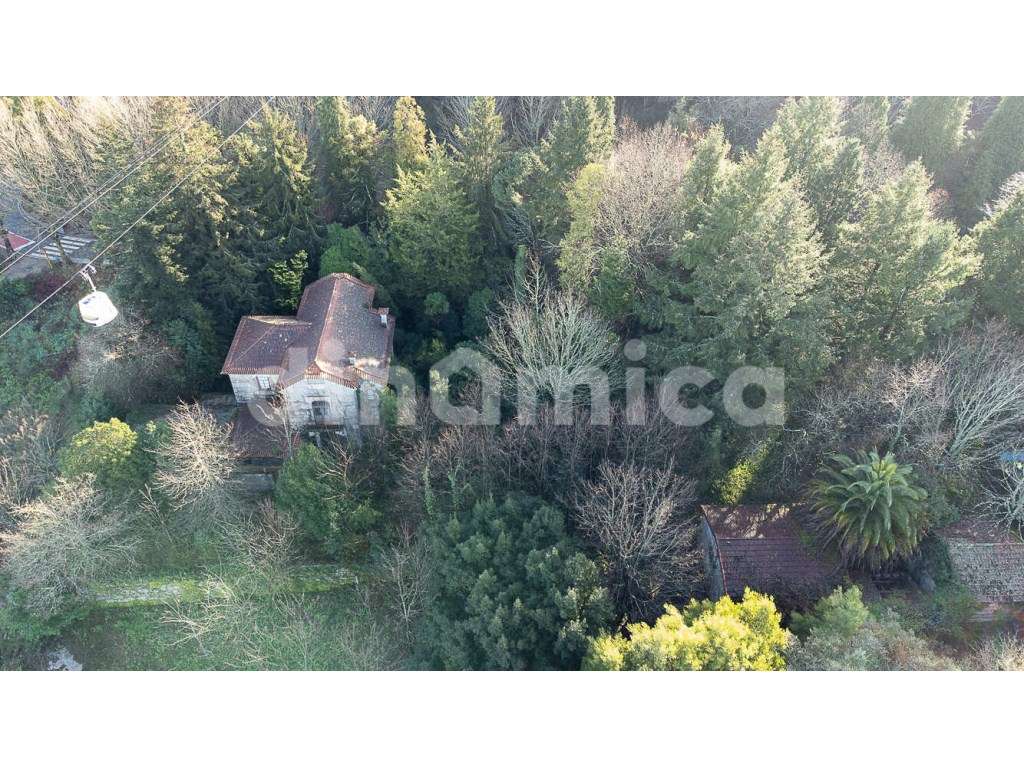 Magnifica Propriedade - Penha - Grande imagem: 2/17