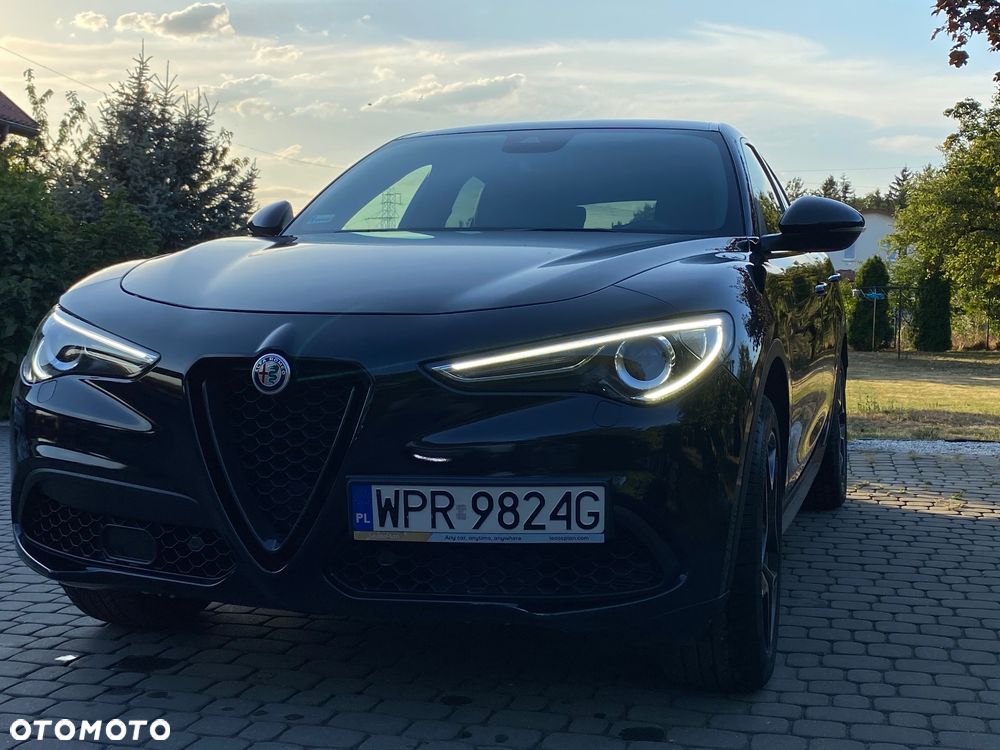 Alfa Romeo Stelvio 2.0 Turbo Executive Q4 - 11