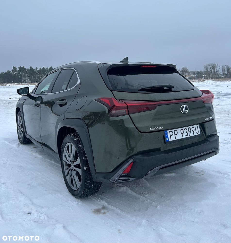 Lexus UX 250h F SPORT - 7