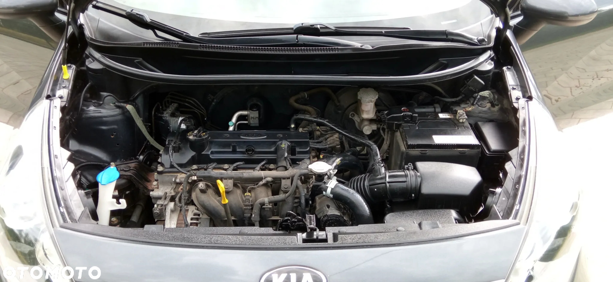 Kia Rio - 24