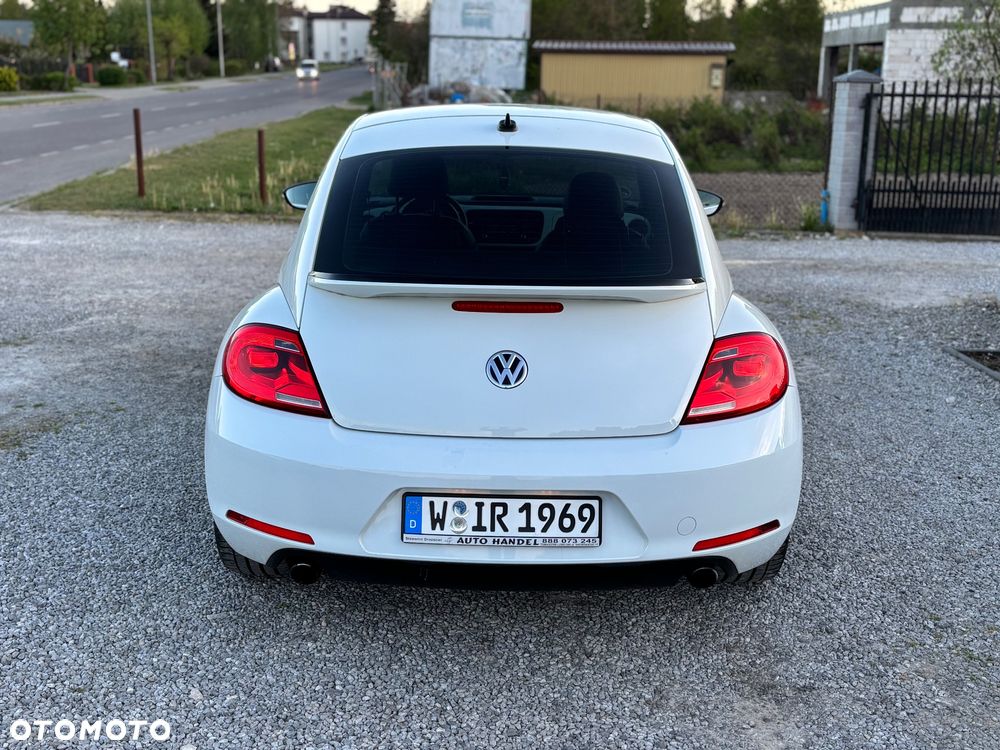 Volkswagen Beetle - 24