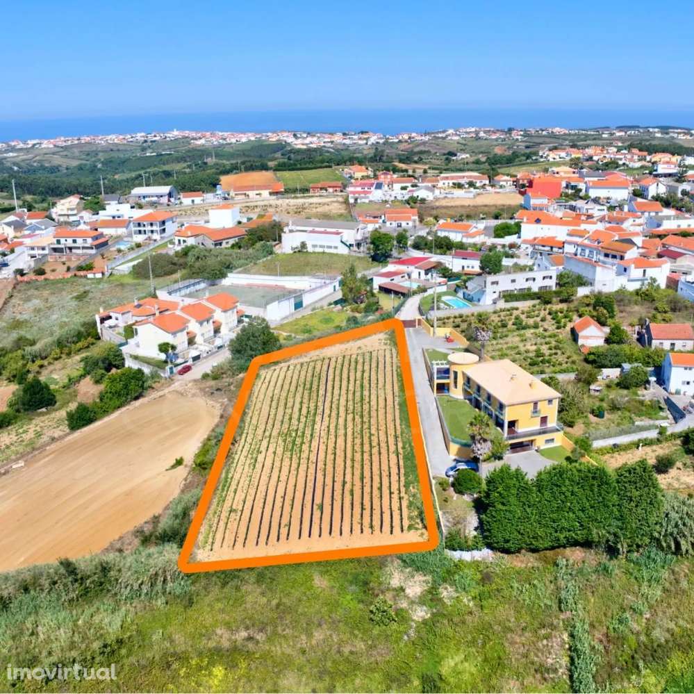 Terreno com Viabilidade de Construção - Grande imagem: 2/9