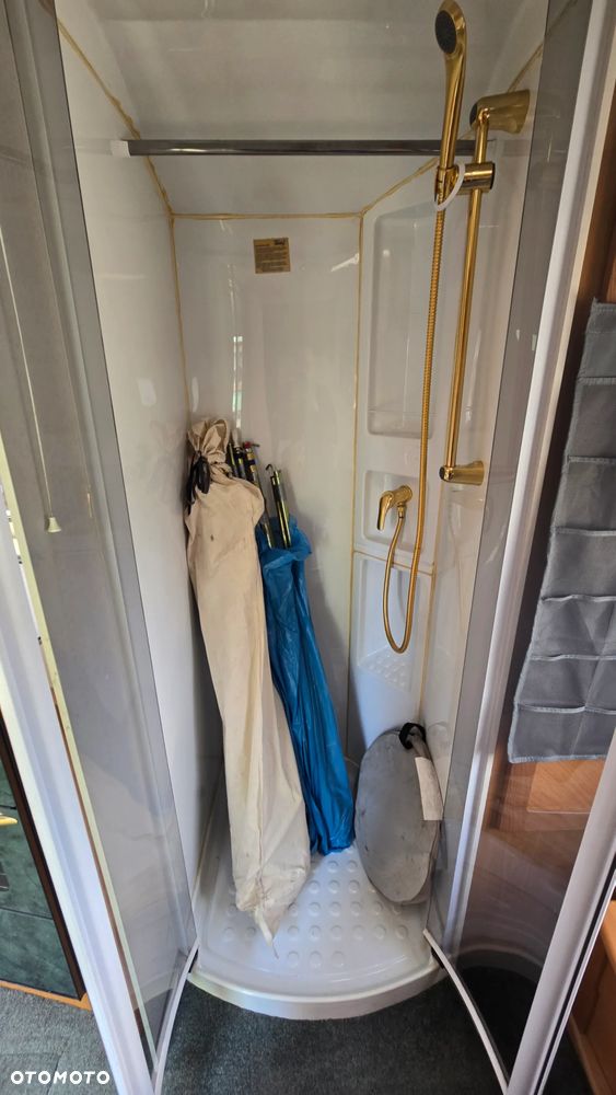 Avondale Avocet Golden - 14