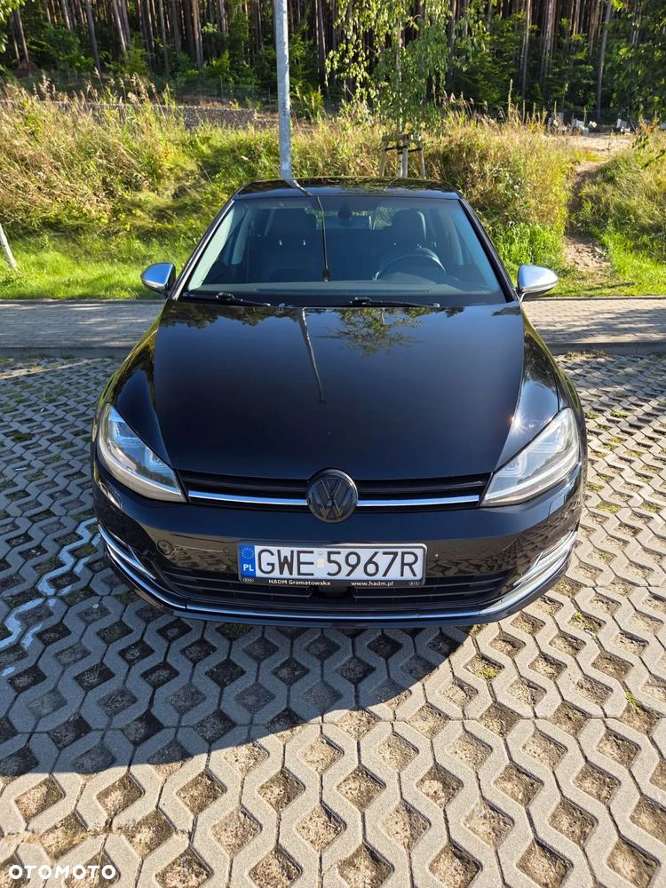 Volkswagen Golf - 8