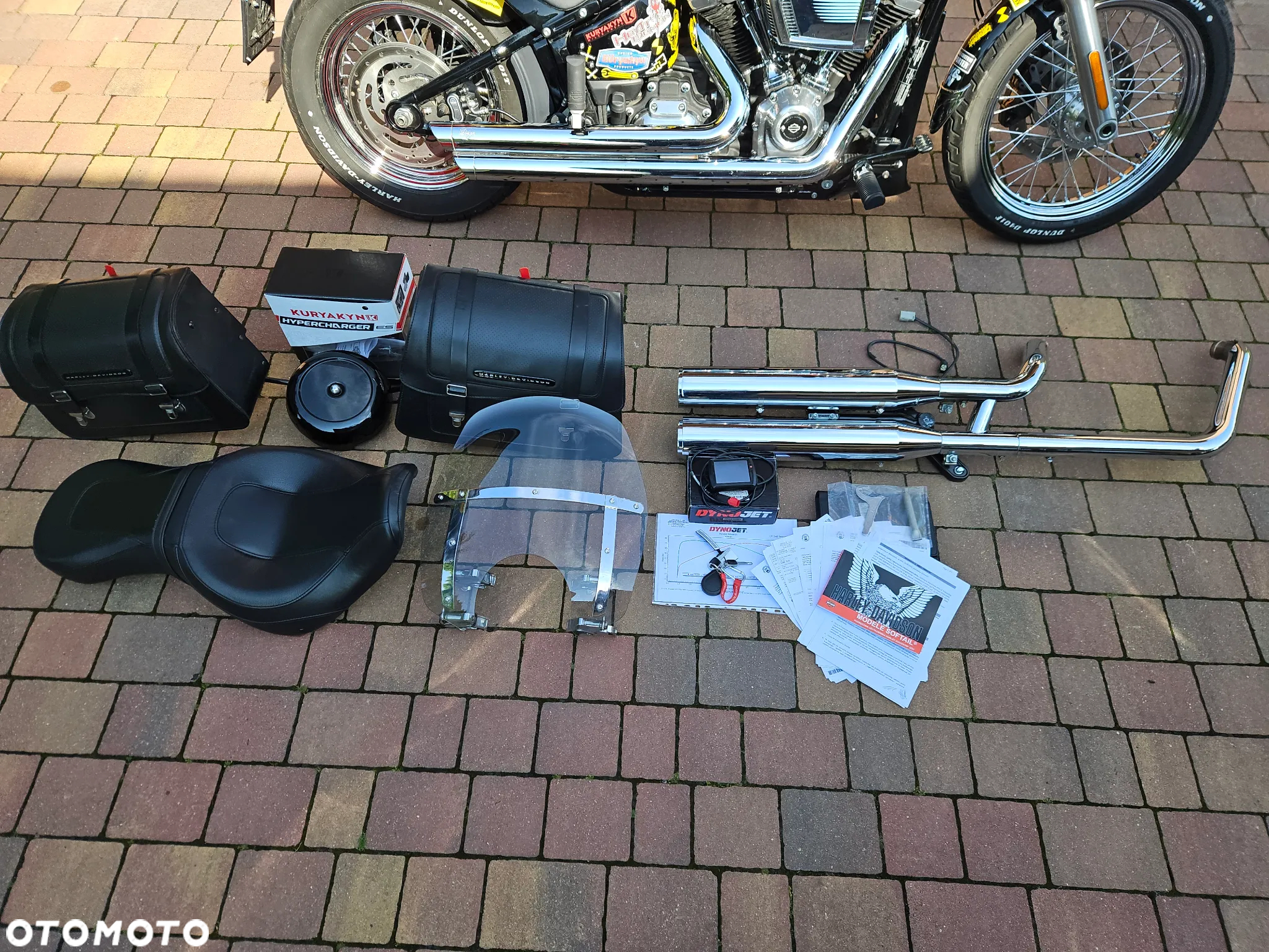 Harley-Davidson Softail Standard - 8
