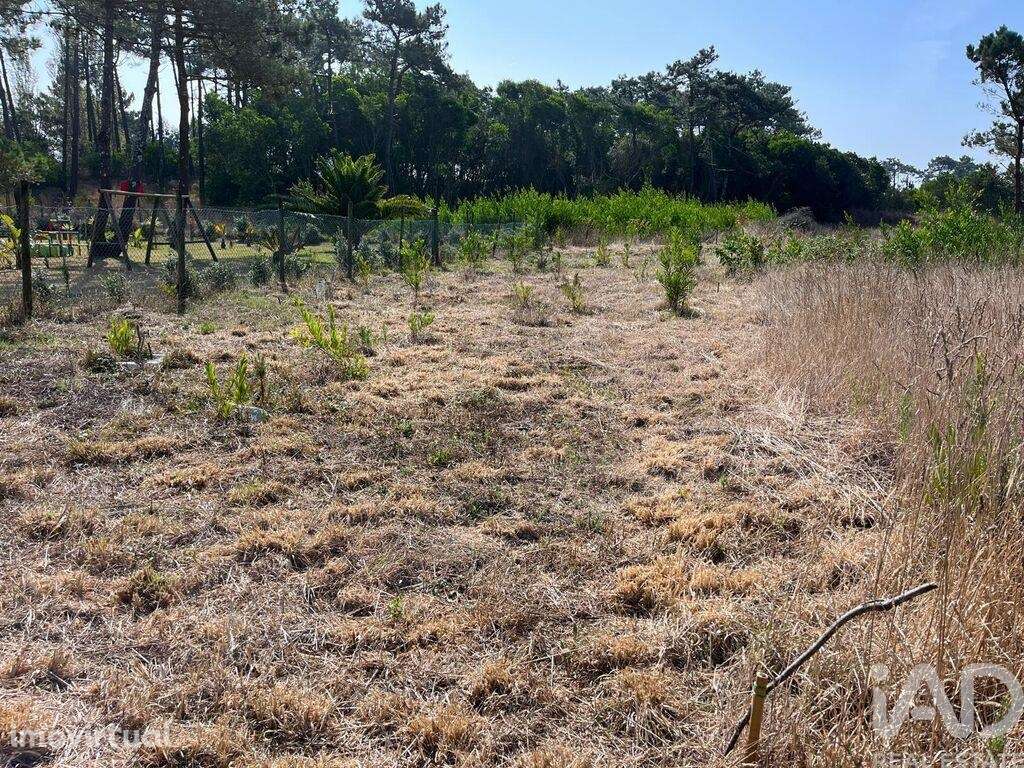 Terreno em Antas de 310,00 m2 - Grande imagem: 3/10