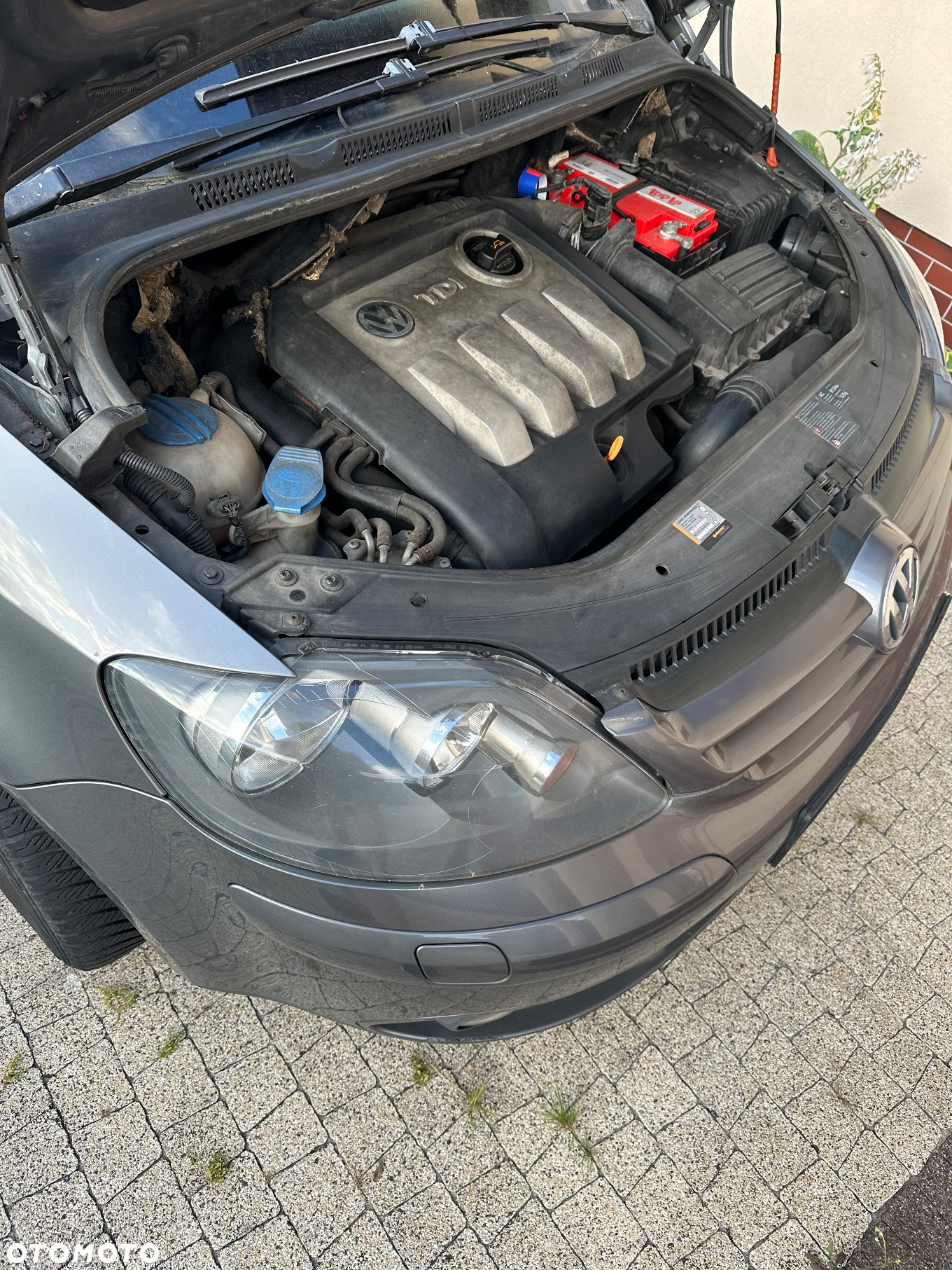 Volkswagen Golf - 3