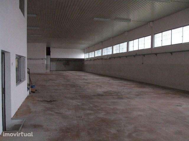 Armazém / Pavilhão - Sineiro - Grande imagem: 3/7