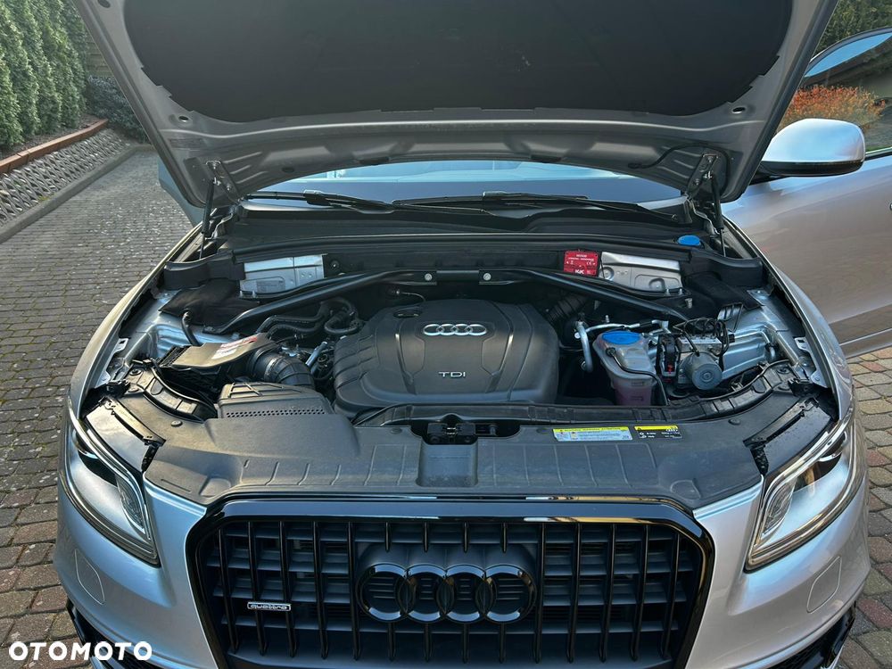 Audi Q5 - 17