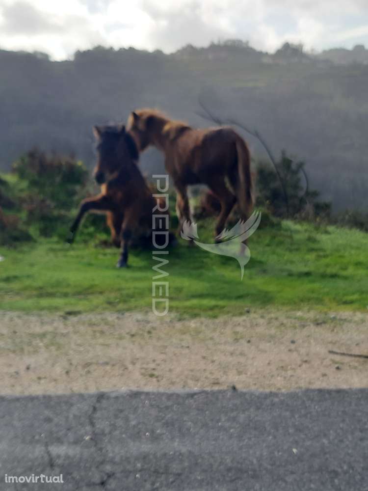 Terreno com projeto aprovado para varias casas em Vila Verde - Grande imagem: 2/3