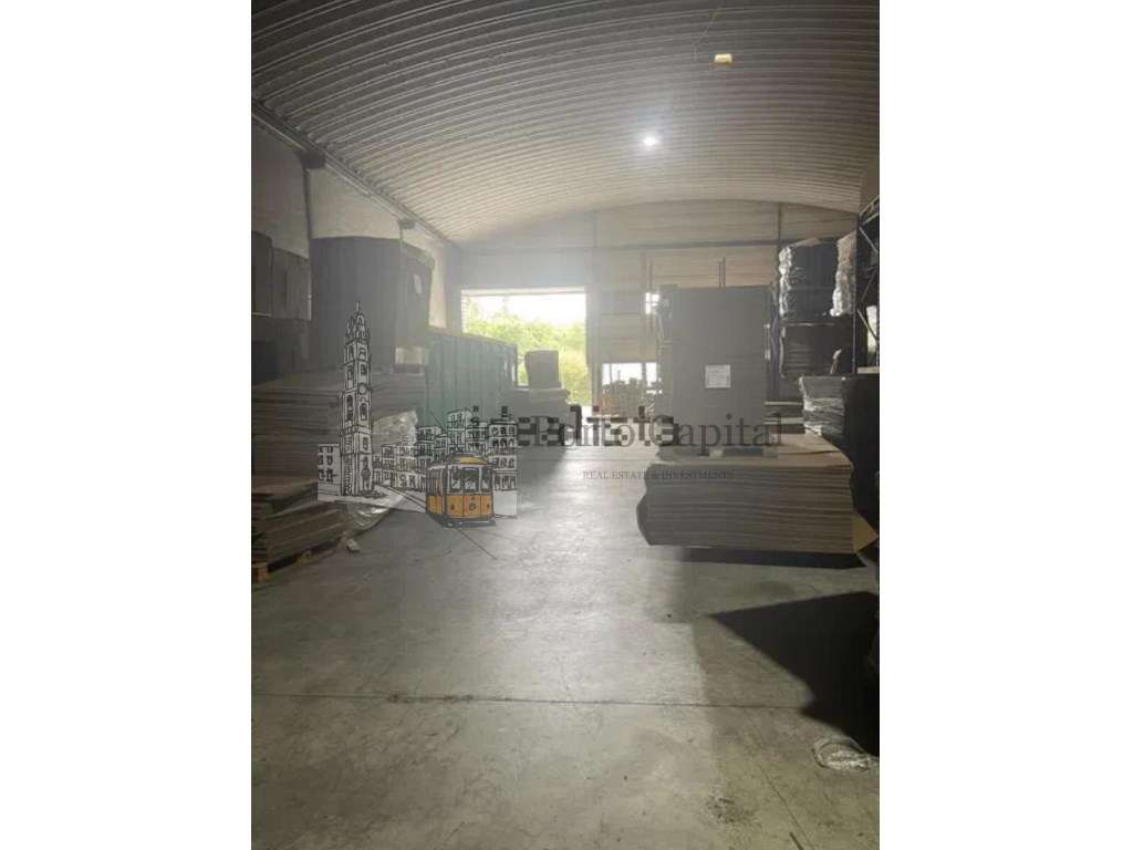 EXCELENTE ARMAZÈM GUILHABREU - Grande imagem: 4/21