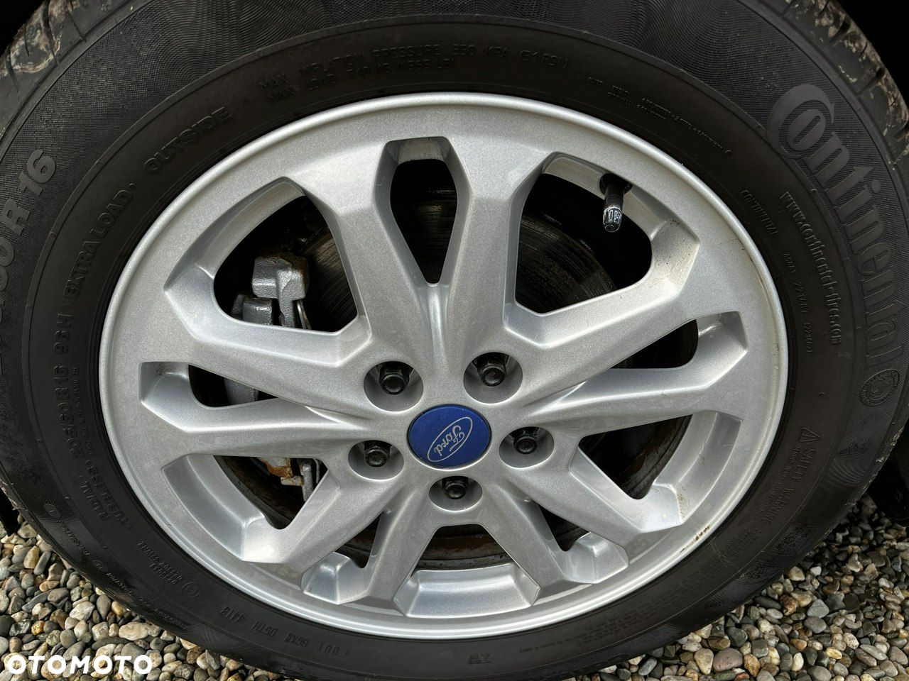 Ford Focus - 32